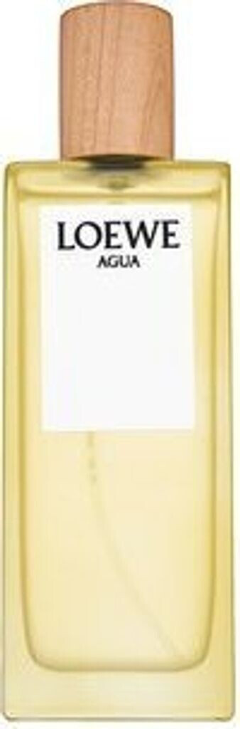 Loewe Agua de Loewe Туалетная вода 100 ml